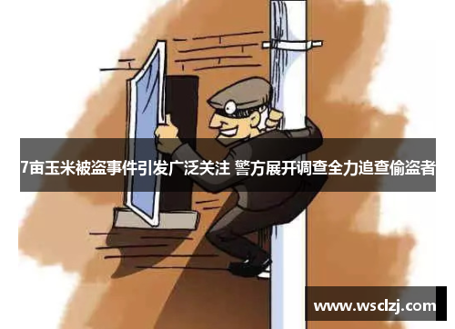 7亩玉米被盗事件引发广泛关注 警方展开调查全力追查偷盗者